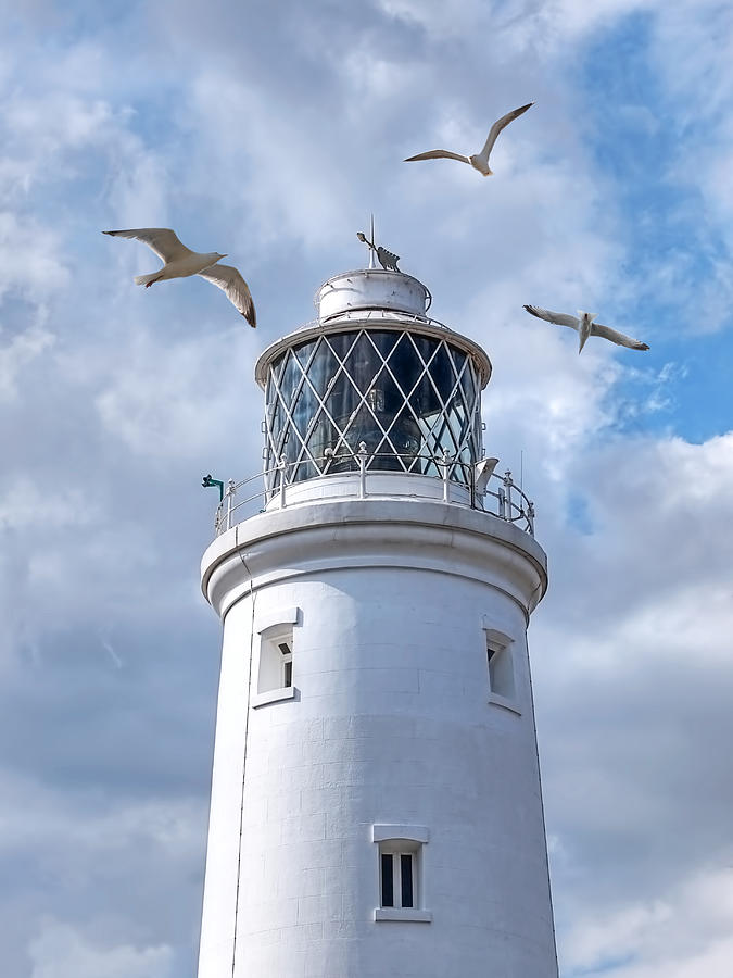 Fly Past - Seagulls Round Southwold Lighthouse Photograph by Gill Billington