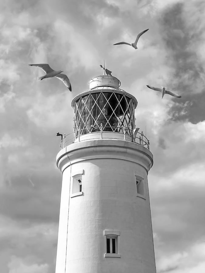 Fly Past - Seagulls Round Southwold Lighthouse in Black and White Photograph by Gill Billington