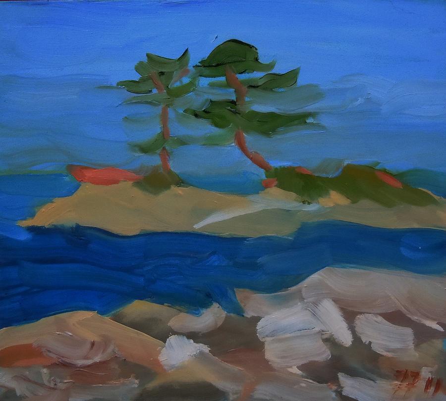 Fly Point Island Painting by Francine Frank