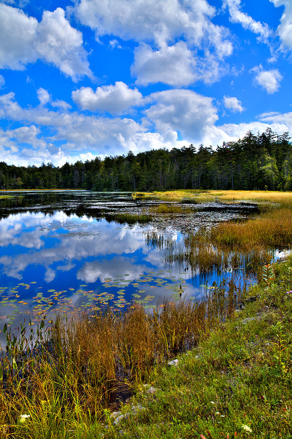 Fly Pond in the Adirondacks II Photograph by David Patterson