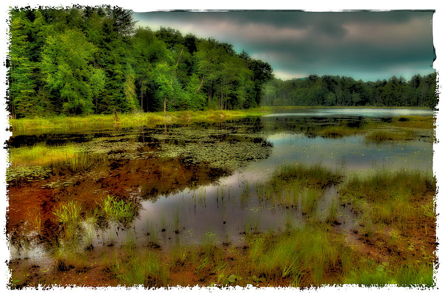 Fly Pond in the Summer Photograph by David Patterson