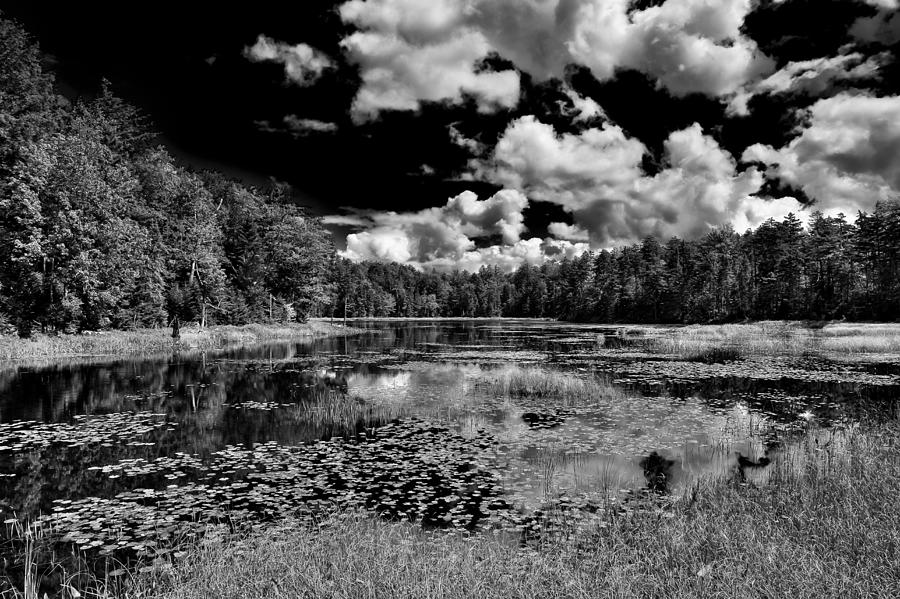 Fly Pond - Old Forge New York Photograph by David Patterson