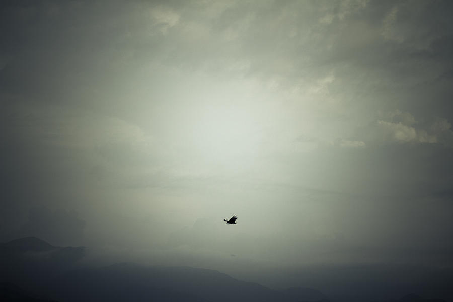 Mountain Photograph - fly by Shane Holsclaw