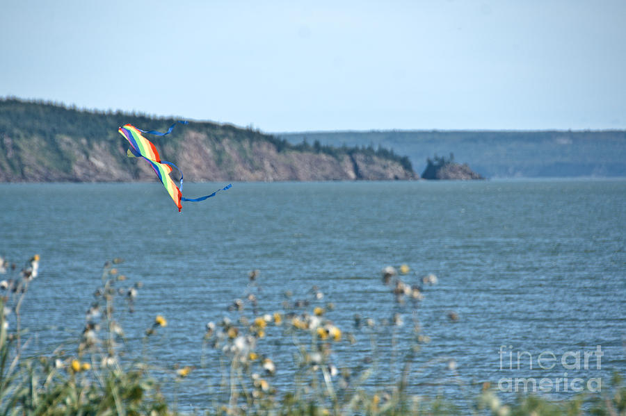 Flying a Kite on the East Coast Photograph by Cheryl Baxter