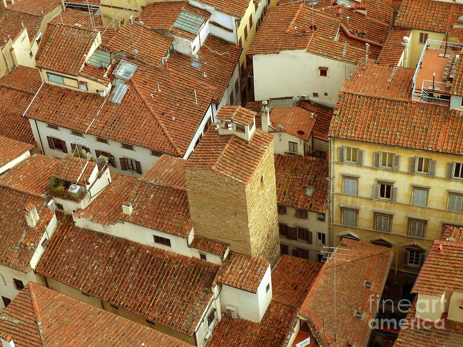 Architecture Photograph - Flying above Florence by Anna  Duyunova
