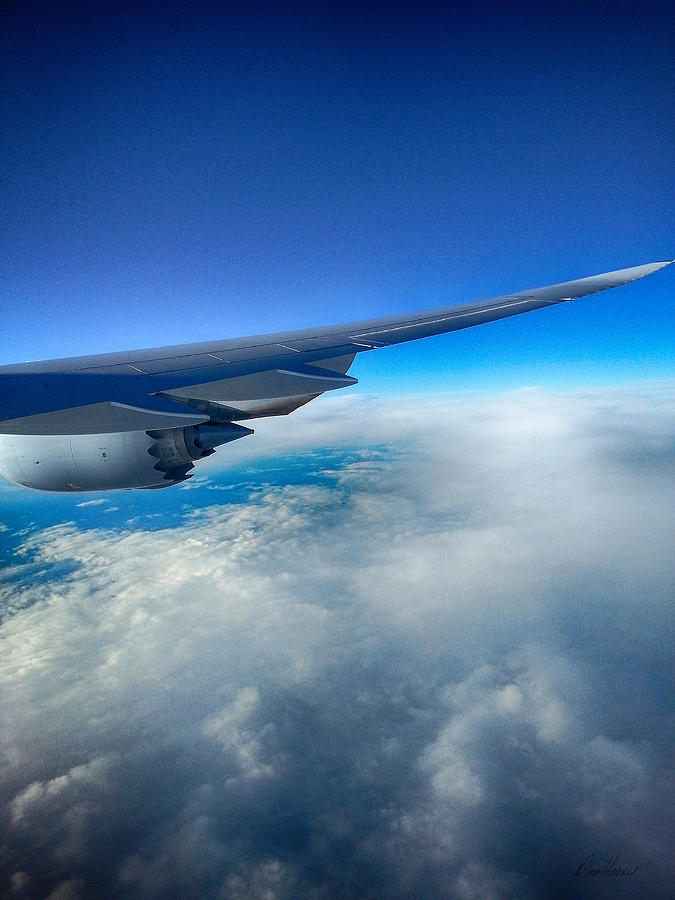 Flying Above the Clouds Photograph by Diana Haronis