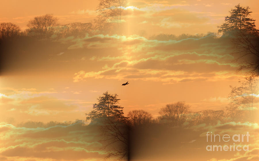 Sunset Photograph - Flying between the worlds by Four Hands Art