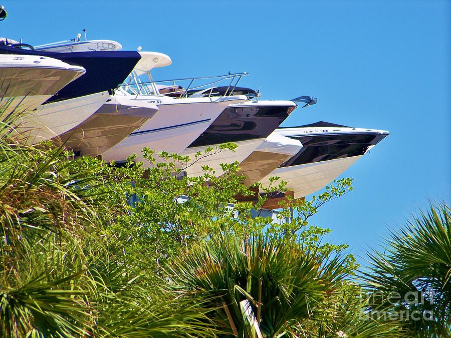 Boat Photograph - Flying Boats by Chuck Hicks