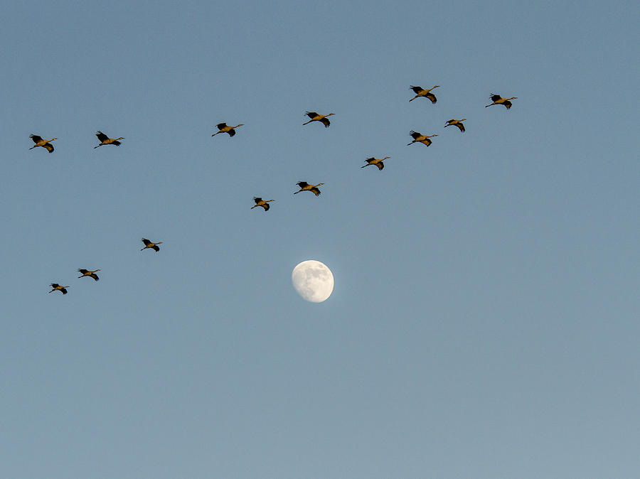 Flying Close to the Moon Photograph by Jean Noren