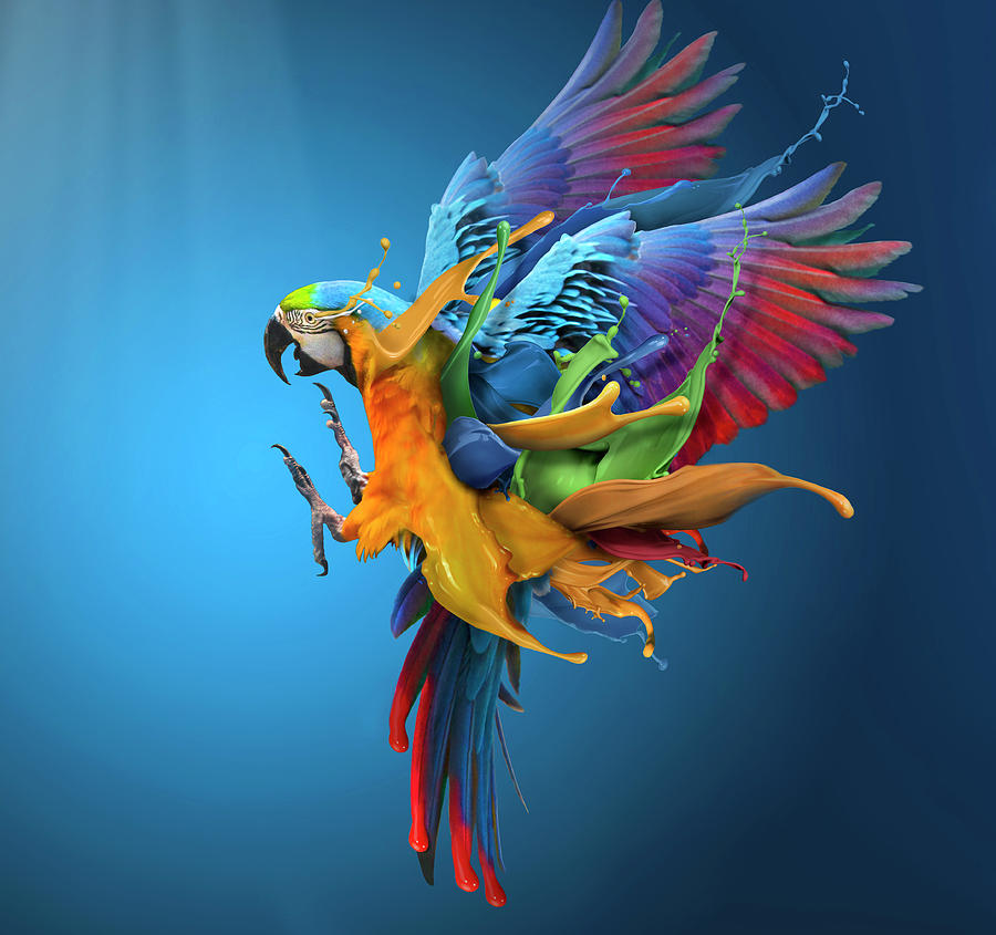 Parrot Photograph - Flying Colours by Sulaiman Almawash