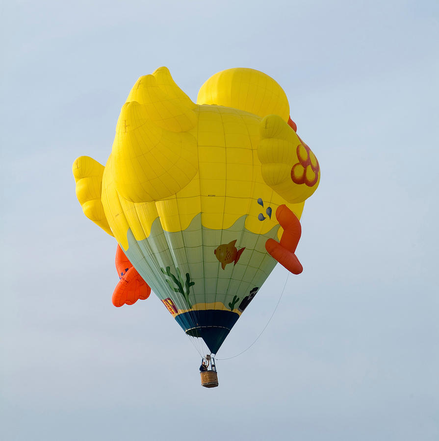 Hot Air Balloon Photograph - Flying Duck by Devinder Sangha