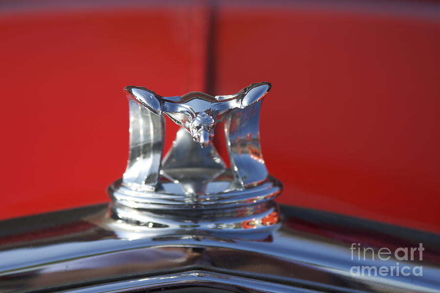 Flying Duck Hood Ornament Photograph by Crystal Nederman