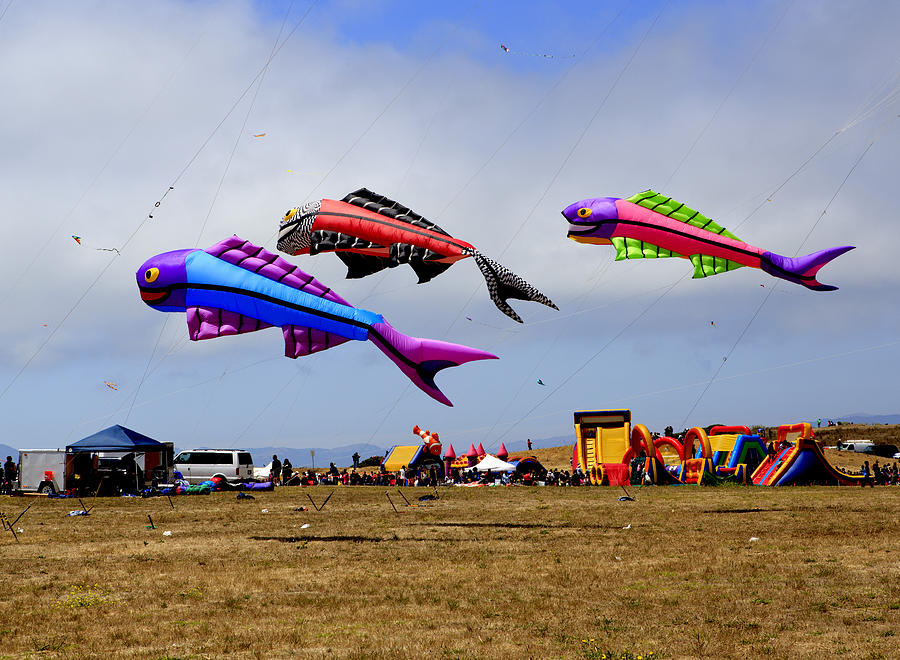 Fish Photograph - Flying Fish Kites by Her Arts Desire