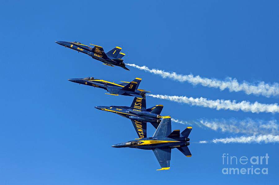 Flying Formation Photograph by Kate Brown