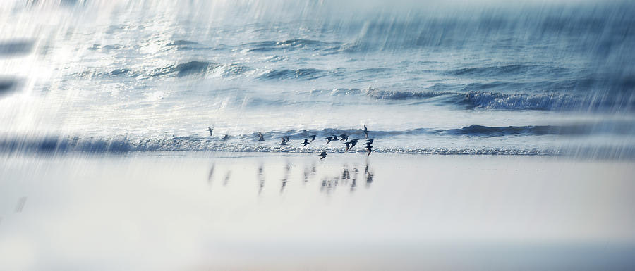Romantic Photograph - Flying Free by Jenny Rainbow