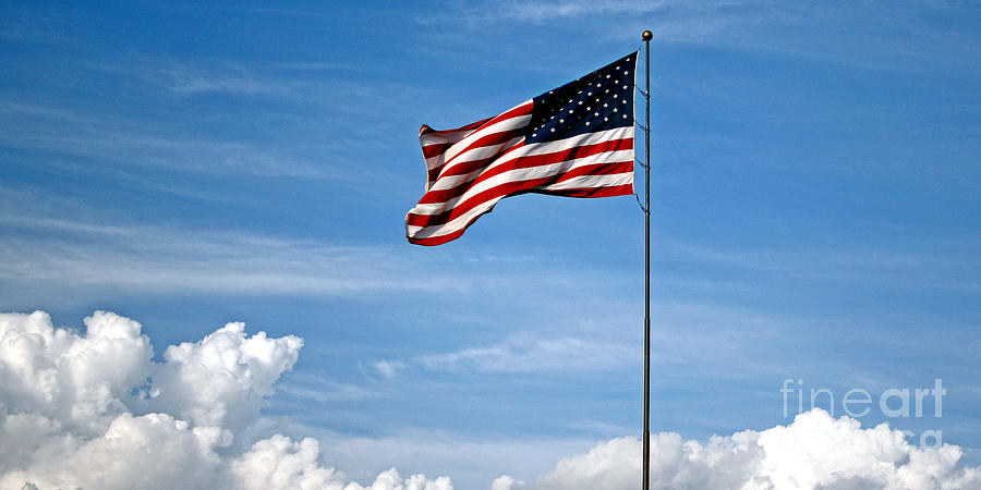 Flying High 7 Panoramic Photograph by Earl Johnson - Fine Art America