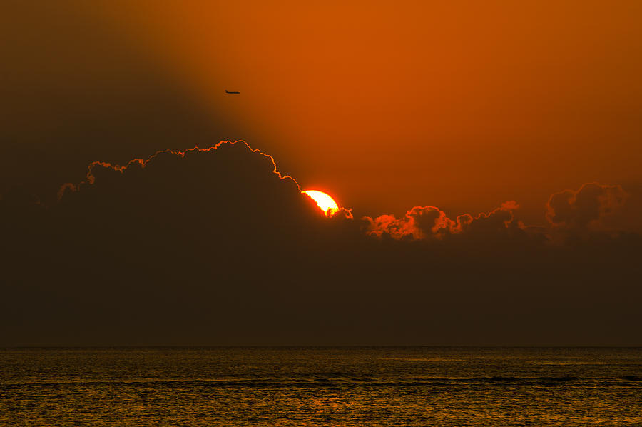 Sunset Photograph - Flying Home by Tin Lung Chao