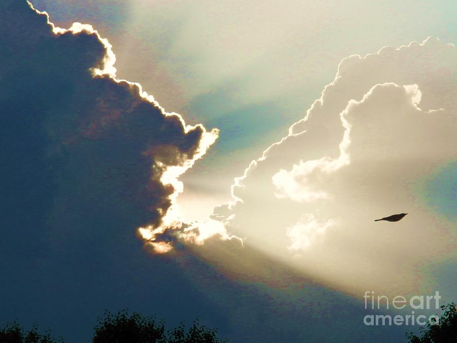 Flying in Heavens Light Photograph by Judy Via-Wolff