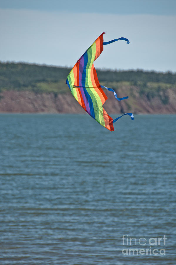 Flying Kite Photograph