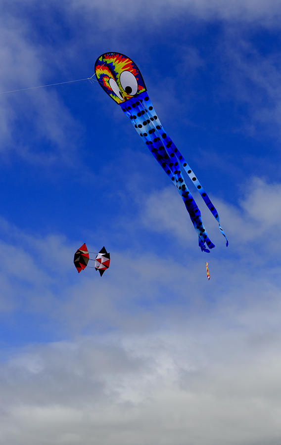 Octopus Photograph - Flying Kites 1 by Her Arts Desire
