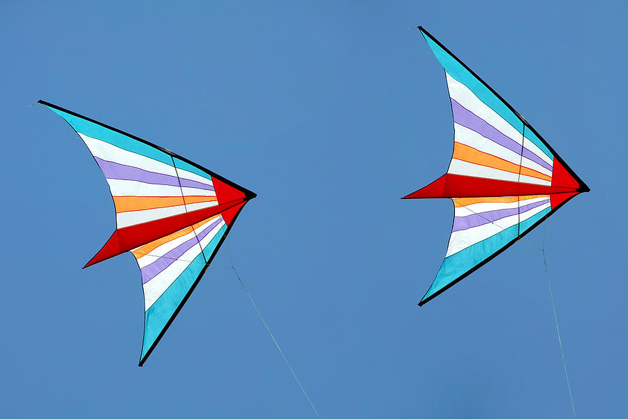 Flying Kites Into The Wind Photograph