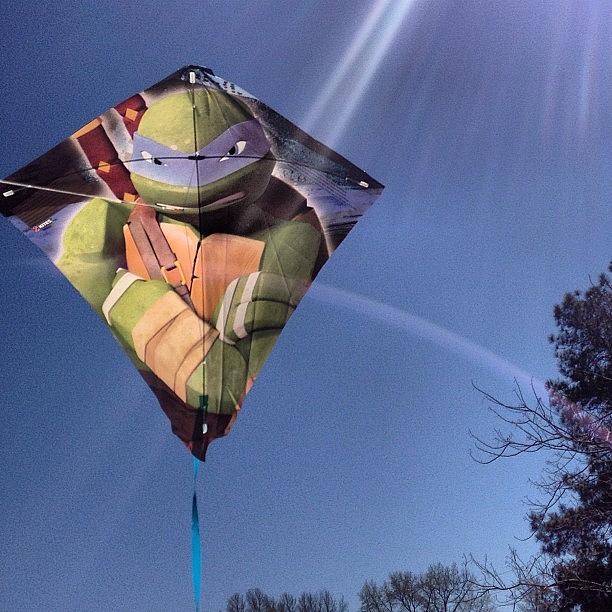 Thuglife Photograph - Flying Kites #tmnt #thuglife by Julia Campbell