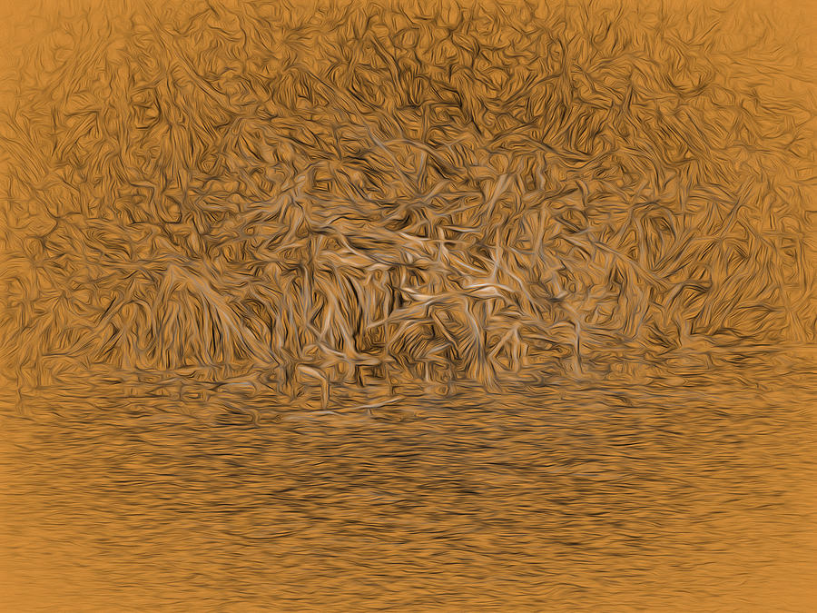 Abstract Photograph - flying mandarin duck oct 2014-abstract Flying male mandarin duck   by Leif Sohlman