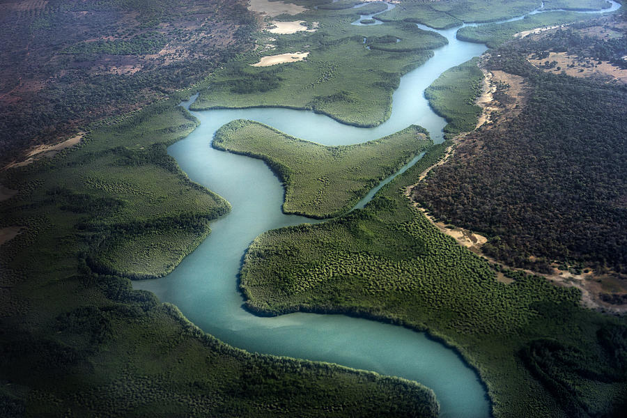 Flying over the Gambian Mangroves Photograph by Steve Baker