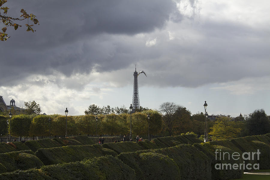 Flying Over the Tuileries Photograph by Donato Iannuzzi
