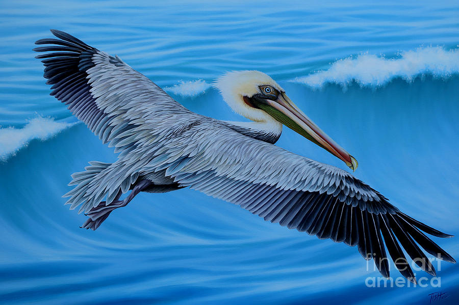 Flying Pelican Painting by Tish Wynne