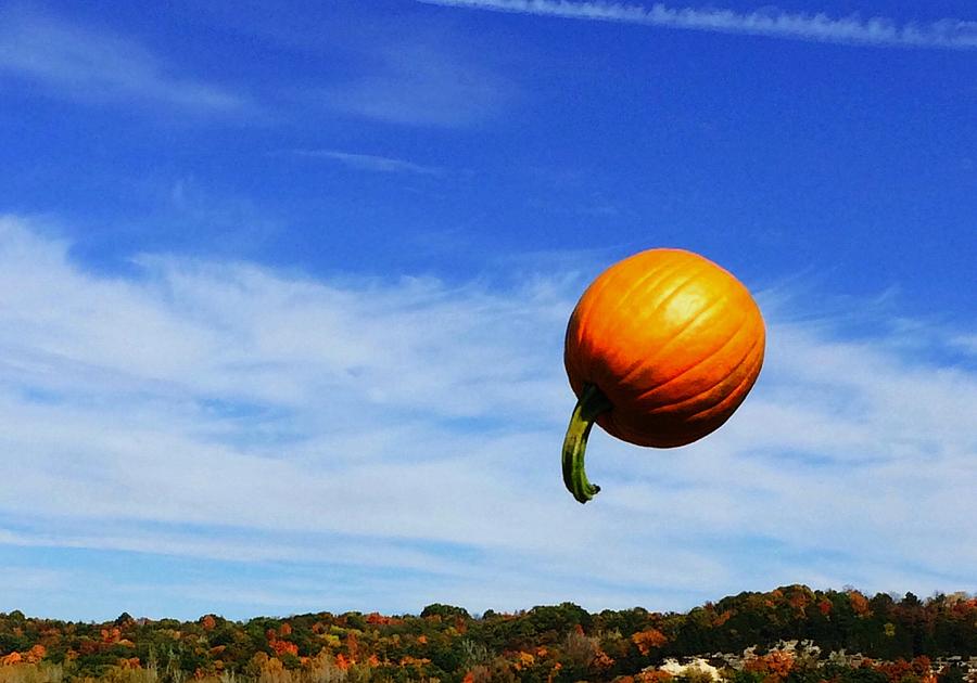 Pumpkin Photograph - Flying Pumpkin by Shawn Wood
