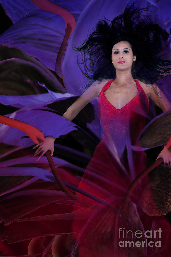 Flying purple Digital Art by Angelika Drake