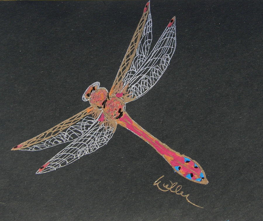 Nature Drawing - Flying Solo by Marcia Weller-Wenbert