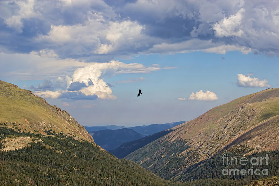 Flying the valley Photograph by Jon Burch Photography
