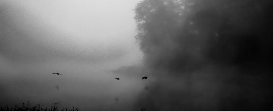 Unique Photograph - Flying Through the Fog by Parker Cunningham
