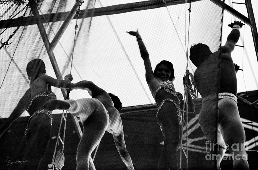 Flying Trapeze Artists Photograph by Tom Brickhouse
