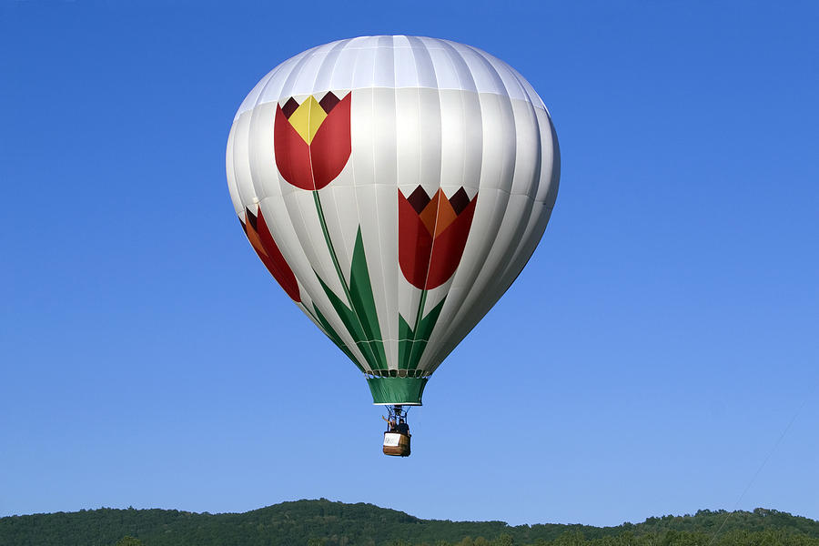 Flying Tulip Photograph by Gene Walls