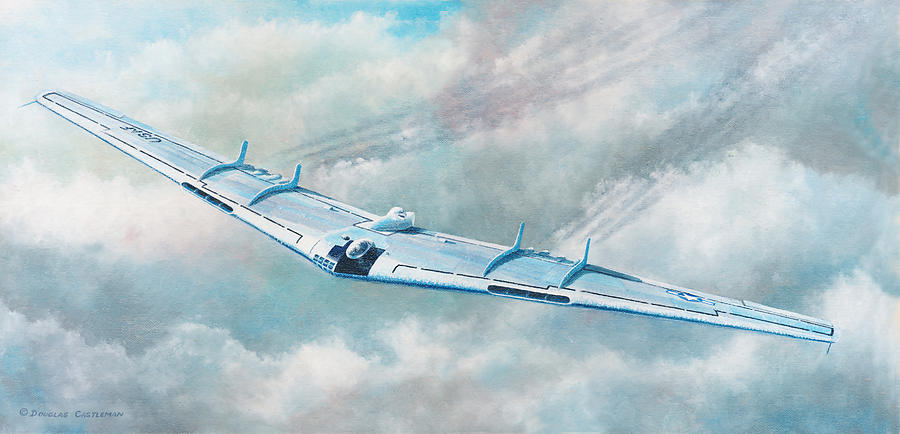 Flying Wing Painting by Douglas Castleman