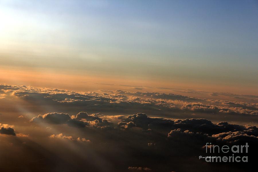 Flying with Sunset Photograph by Yumi Johnson