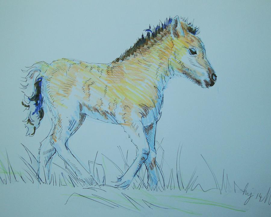 Foal Drawing by Mike Jory