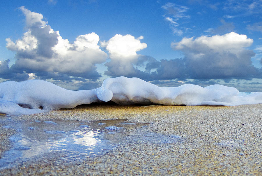 Nature Photograph - Foam Shuffle by Sean Davey