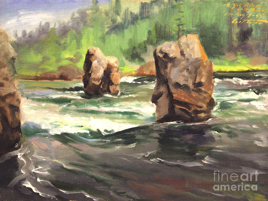 Floating Boulders yellowstone River Painting by Art By Tolpo Collection