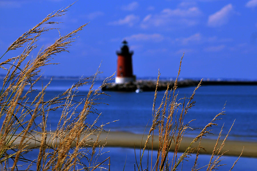 Lighthouse Photograph - Focus on Grass by Bill Swartwout