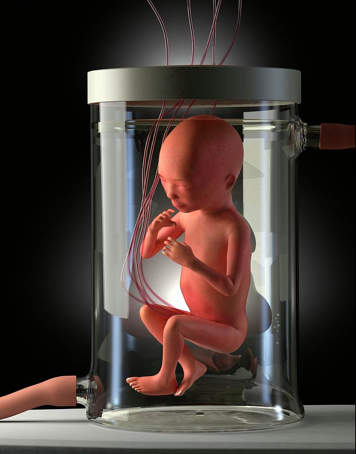 Foetus Grown In A Jar Photograph by Tim Vernon