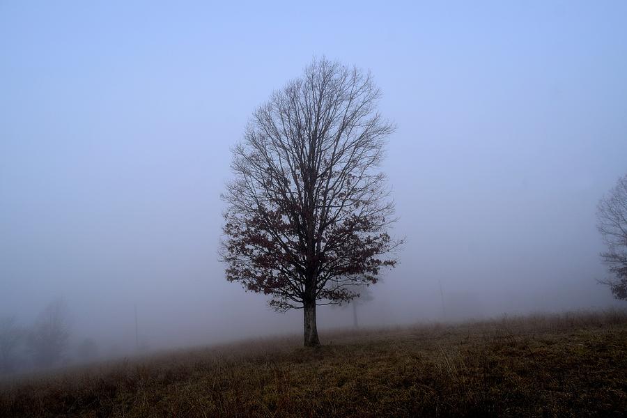 Fog 2 Photograph