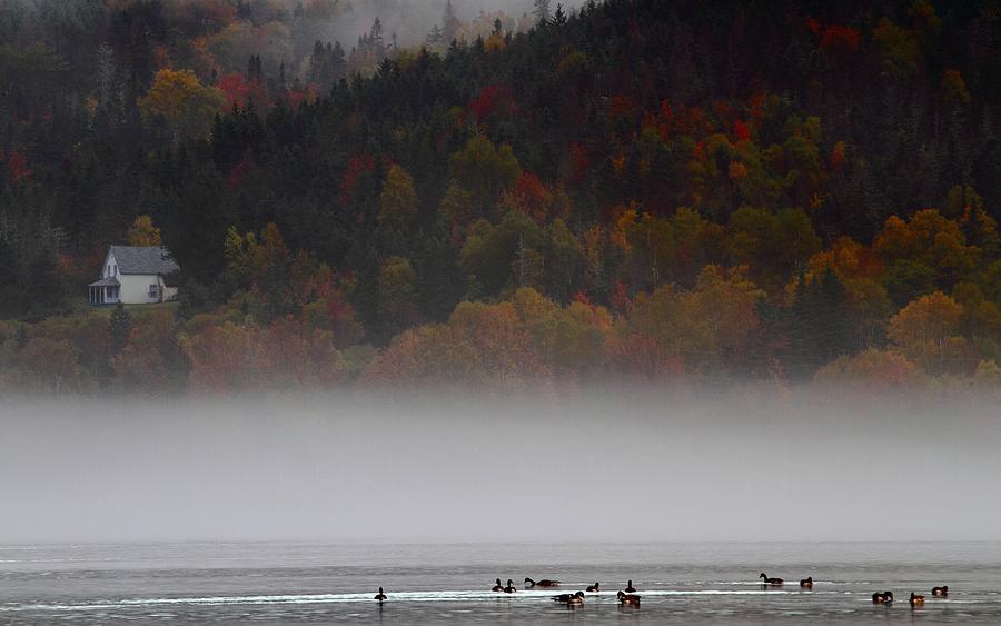 Fog along the Cabot Trail during autumn Photograph by Jetson Nguyen