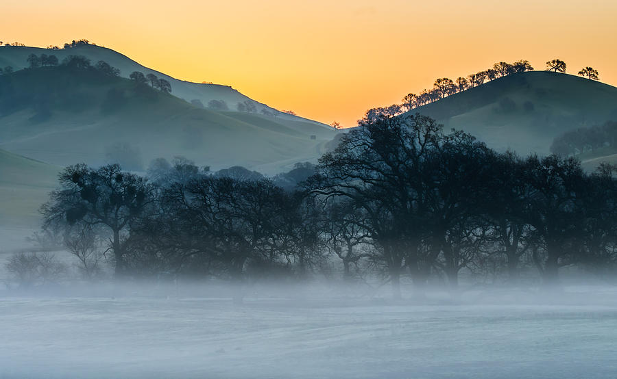 Fog And Frost At Sunrise Photograph by Marc Crumpler