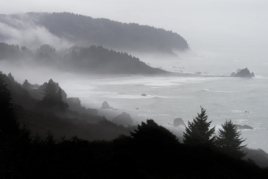 Fog And Mist Along The Pacific Coast Photograph by John Shaw