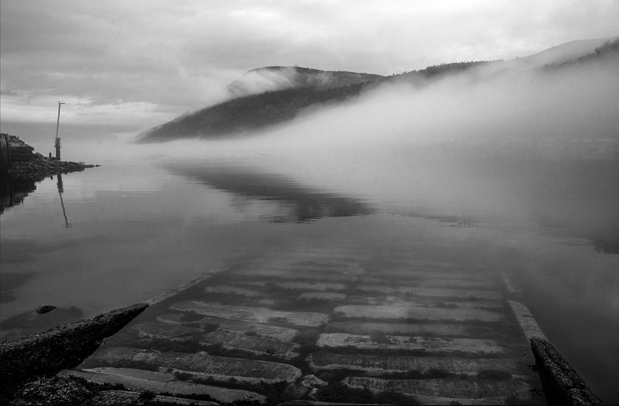 Fog and quiet Photograph by Arkady Kunysz