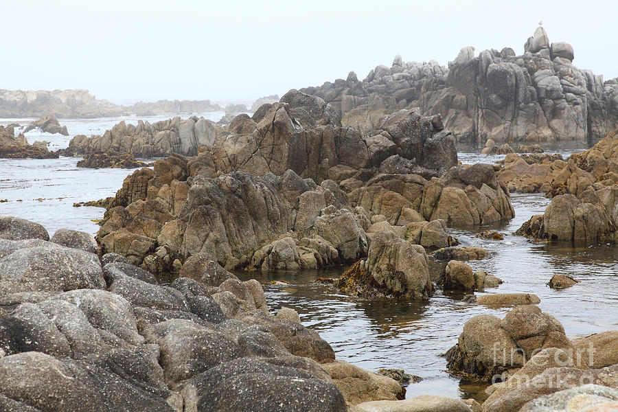 Fog And Rock Formations At Asilomar State Beach in Pacific Grove Near Monterey California 5D25122 Photograph by Wingsdomain Art and Photography